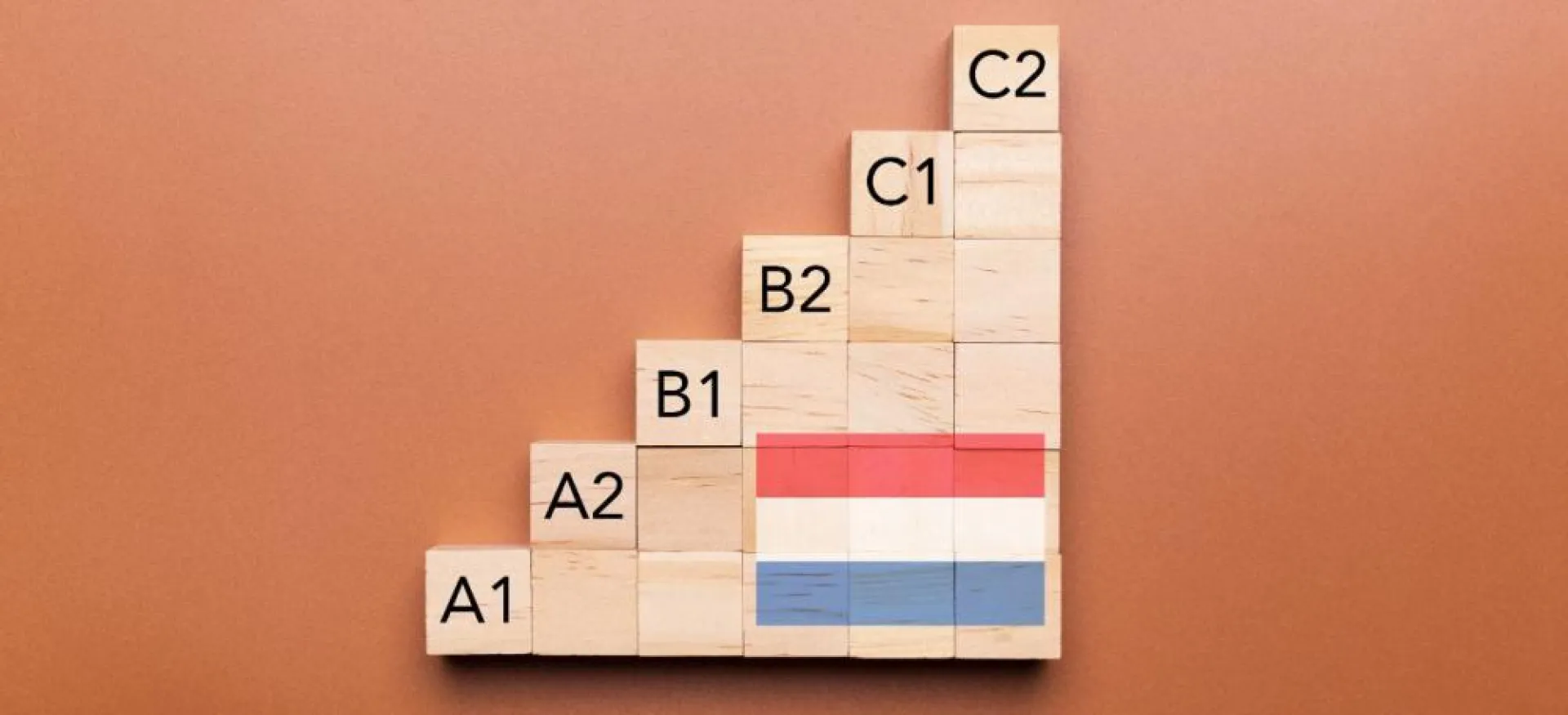 Cours de néerlandais à Bruxelles : l’atout indispensable pour ta carrière