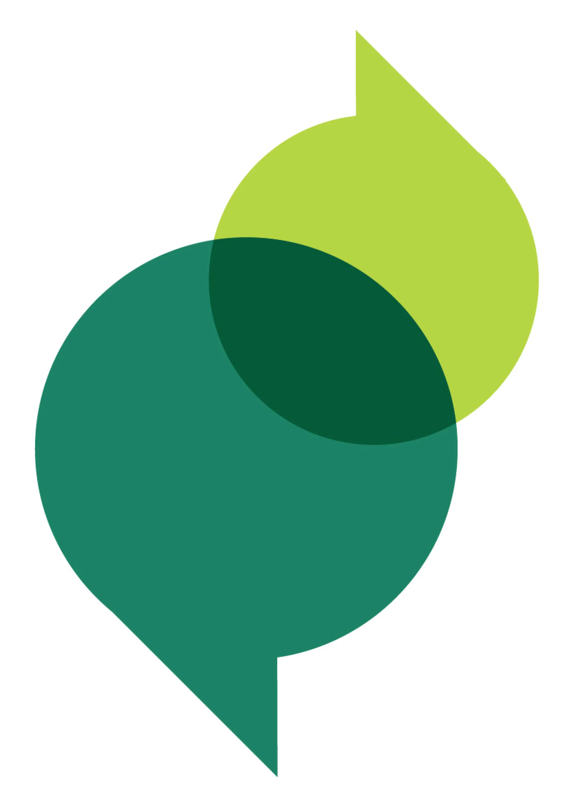 Nederlandse Academie Bruxelles : cours de néerlandais